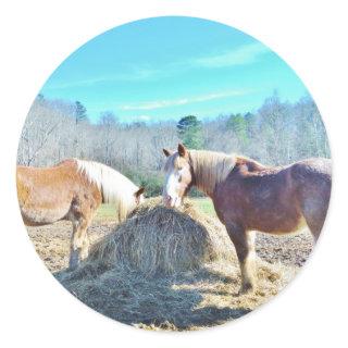 Rescued Draft Horses eating hay Classic Round Sticker