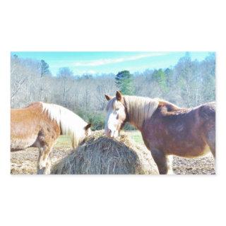 Rescued Draft Horses eating hay Rectangular Sticker