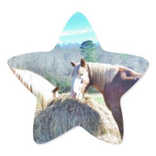 Rescued Draft Horses eating hay Star Sticker