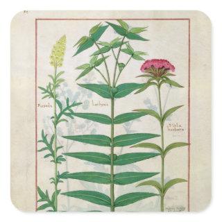 Reseda, Euphorbia and Dianthus Square Sticker