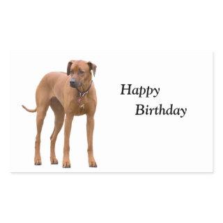 Rhodesian Ridgeback dog photo happy birthday Rectangular Sticker