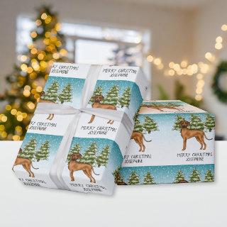 Rhodesian Ridgeback Lion Dog Snowy Winter Forest