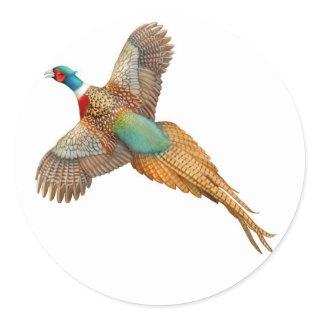 Ring Necked Pheasant Sticker