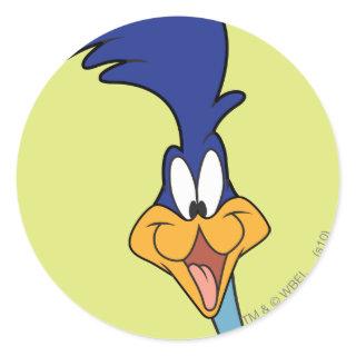 ROAD RUNNER™ Face Classic Round Sticker