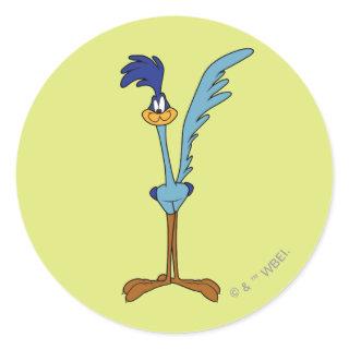 ROAD RUNNER™ in Color Classic Round Sticker