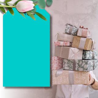 Robin Egg Blue Solid Color | Classic | Elegant Gift Tags