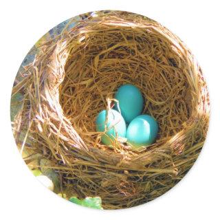 Robin Eggs in a Backyard Tree Nest Classic Round Sticker