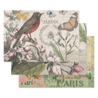 Robin Elegant Bird Butterfly French Art  Sheets