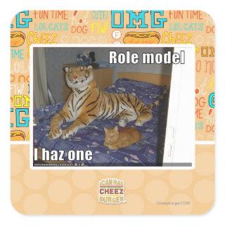 Role Model, I haz one Square Sticker