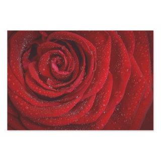 Romantic Floral Red Rose  Sheets