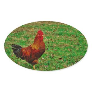 Rooster Facing right Oval Sticker