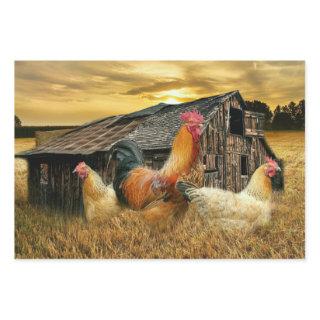 Rooster Hens Rustic Barn Coop  Sheets