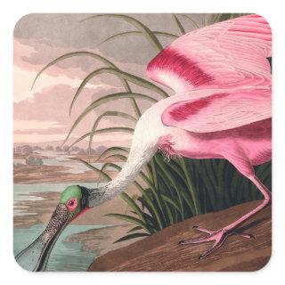 Roseate Spoonbill Audubon Bird Wildlife Square Sticker