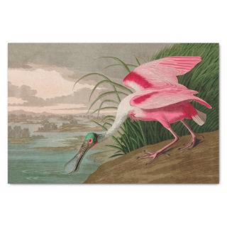 Roseate Spoonbill Birds of America Audubon Print Tissue Paper