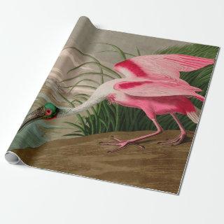 Roseate Spoonbill Birds of America Audubon Print