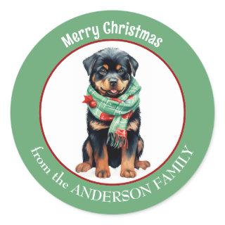 Rottweiler Dog in Red and Green Christmas Scarf Classic Round Sticker