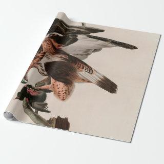 Rough-legged Falcon Birds of America Audubon Print