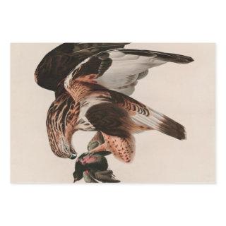 Rough-legged Falcon Birds of America Audubon Print  Sheets