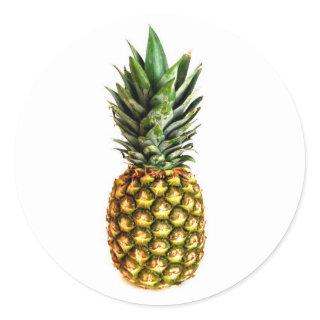 Round pineapple stickers