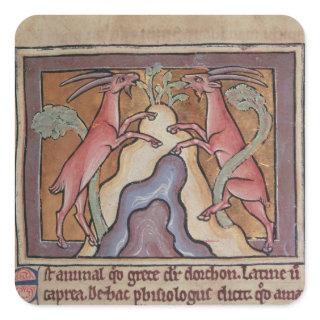 Roy Wild goats from a Bestiary Square Sticker