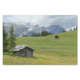 Run-down Barn in an Italian Countryside Tissue Paper