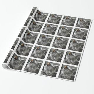 Russian Blue
