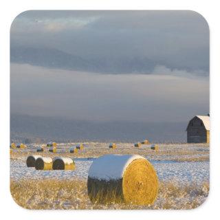 Rustic barn and hay bales after a fresh snow 3 square sticker