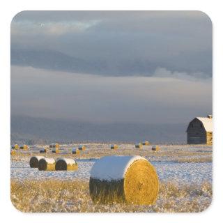 Rustic barn and hay bales after a fresh snow 3 square sticker