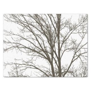 Rustic Brown Tree Branches Tissue Paper