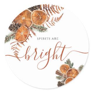 Rustic Citrus And Pine Winter Holiday  Classic Round Sticker
