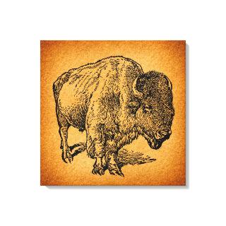 Rustic Western Wild Buffalo Bison Antique Art Canvas Print