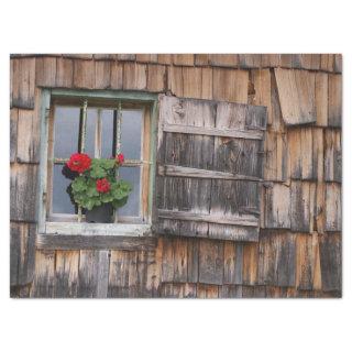 Rustic Wood Shingles House Window Decoupage  Tissue Paper