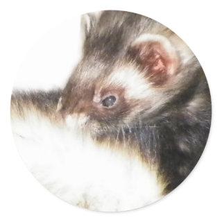 Sable Ferret Picture Classic Round Sticker