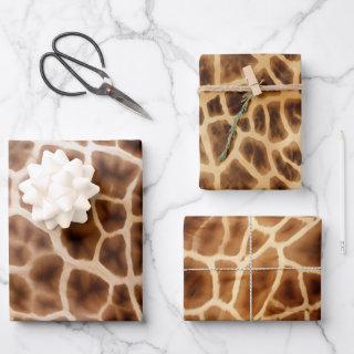 Safari Giraffe Print  Sheets