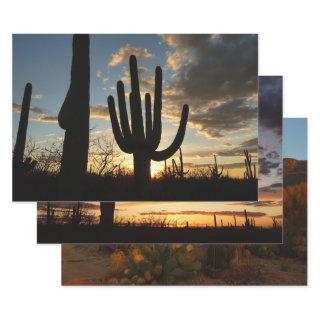 Saguaro Sunset II Arizona Desert Landscape  Sheets