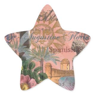 saint augustine florida travel antique art star sticker