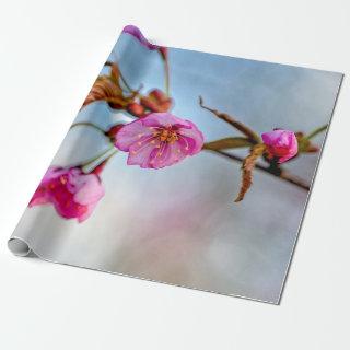 Sakura Flowers In Soft Pink Colors