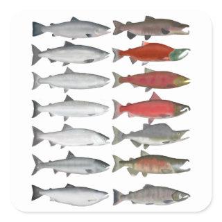 Salmon Group Square Sticker