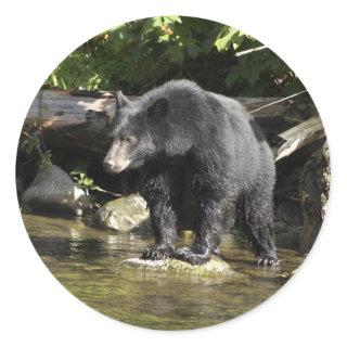 "Salmon Spotting" Black Bear Gifts Classic Round Sticker