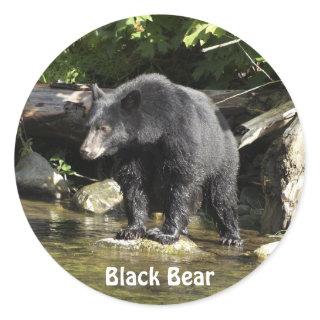 "Salmon Spotting" Black Bear Sticker Gifts