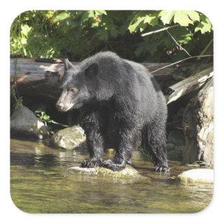 "Salmon Spotting" Black Bear Wildlife Stickers