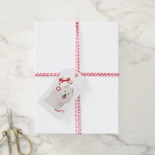 Samoyed Christmas Gift Tag