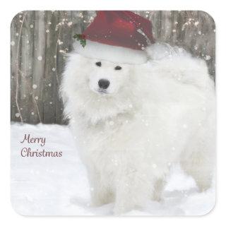 Samoyed Holiday Stickers--20 Rounded Squares Square Sticker