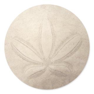 Sand Dollar Round Sticker