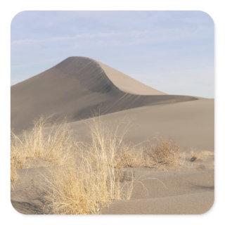 Sand dune formations. Bruneau Dunes State Park 2 Square Sticker