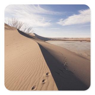 Sand dune formations. Bruneau Dunes State Park Square Sticker