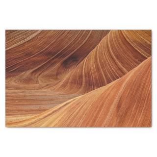 Sand Dunes  Tissue Paper