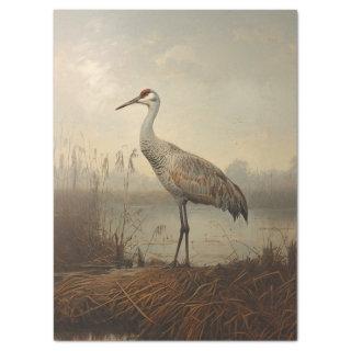 Sandhill Crane in the Marsh Decoupage Tissue Paper