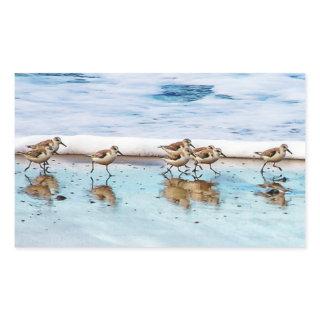 Sandpipers Running Along The Beach Rectangular Sticker