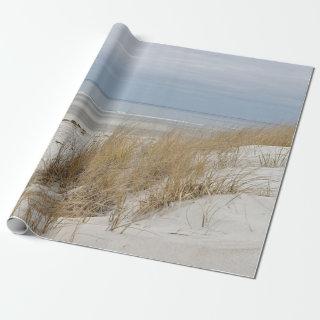 Sandy beach and dunes in winter